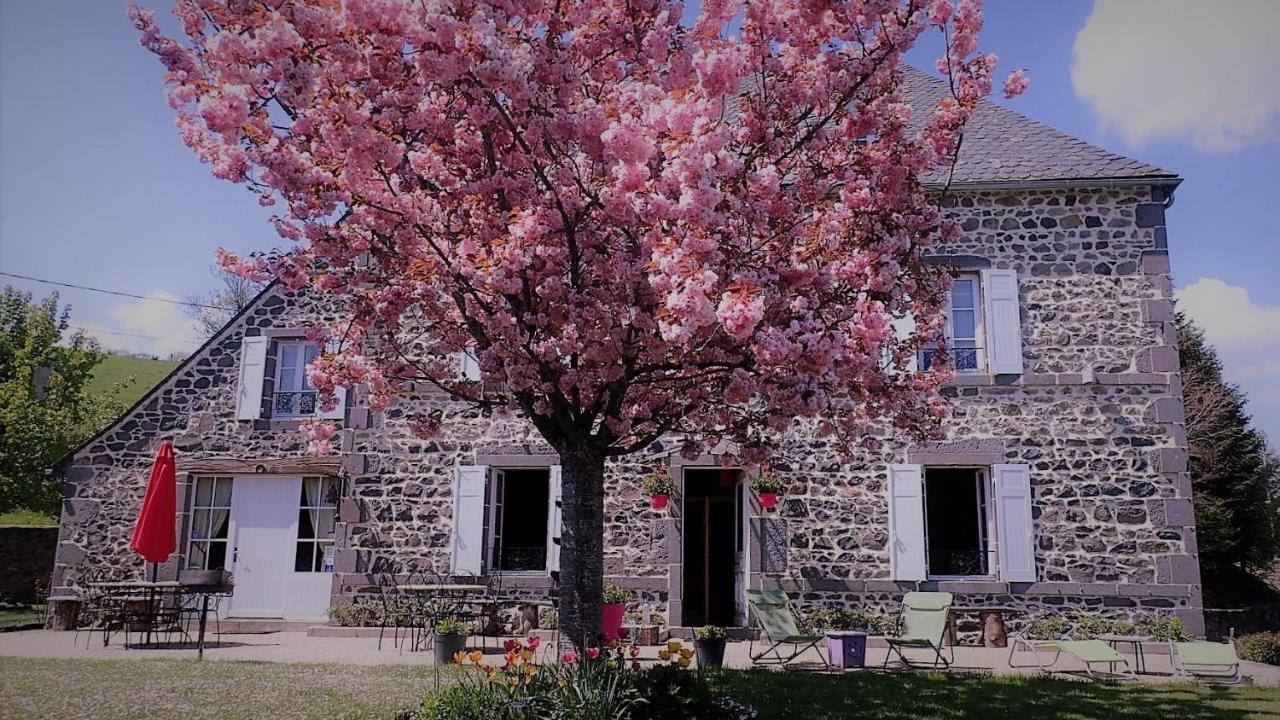 Maison D'Hotes La Nichee Rochefort-Montagne Экстерьер фото